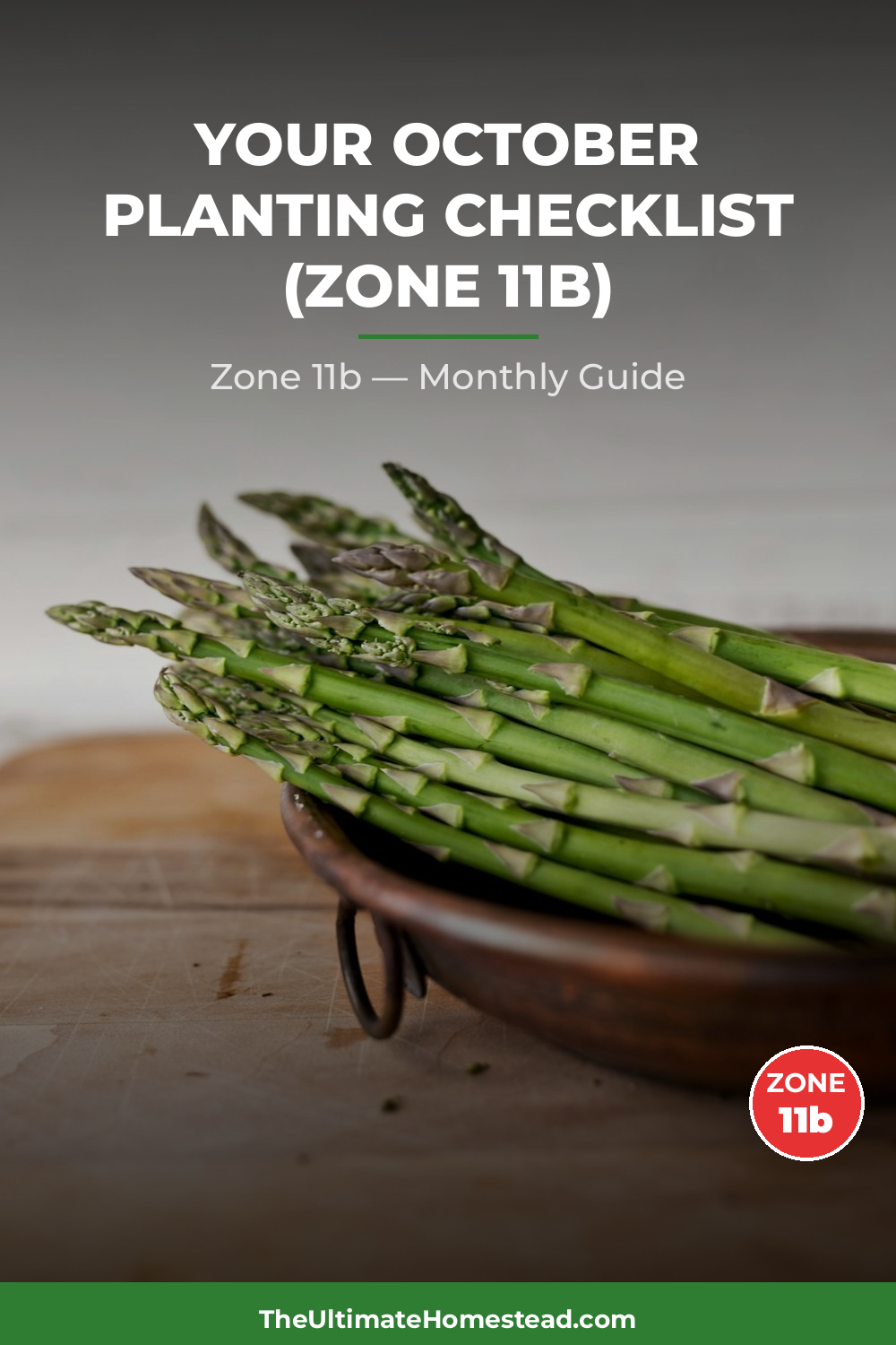 Zone 11b Planting Calendar