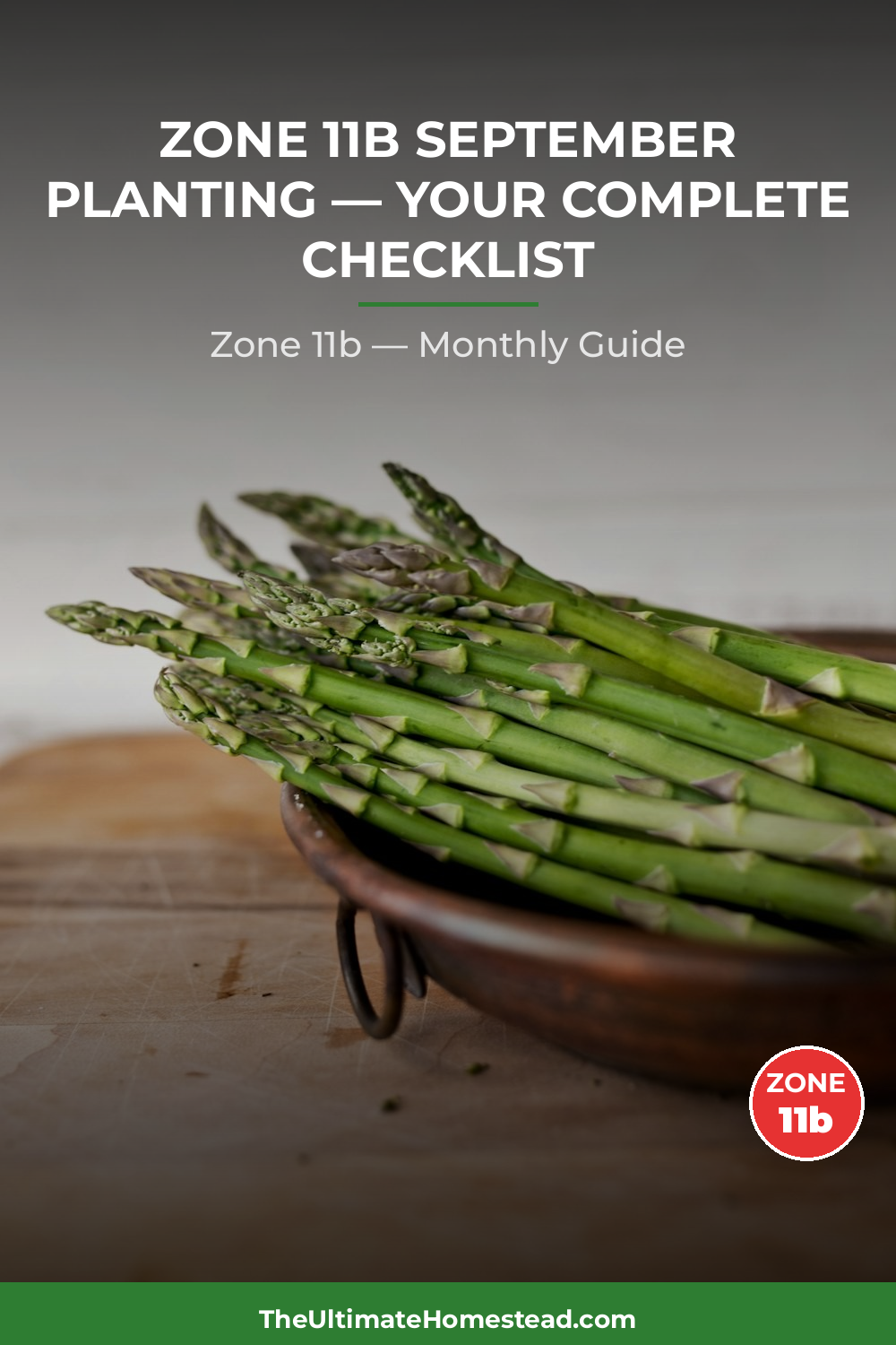 Zone 11b Planting Calendar