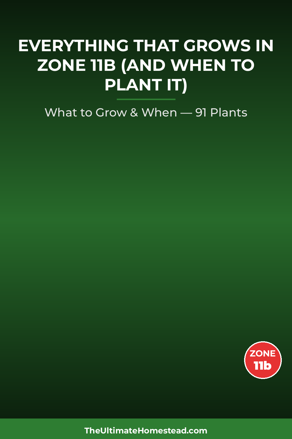 Zone 11b Planting Calendar