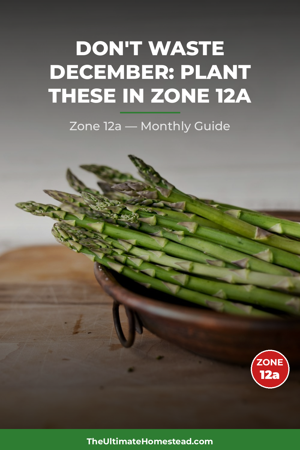 Zone 12a Planting Calendar