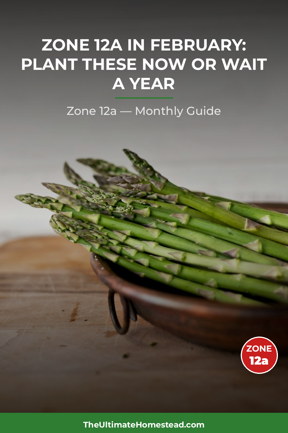 Zone 12a Planting Calendar