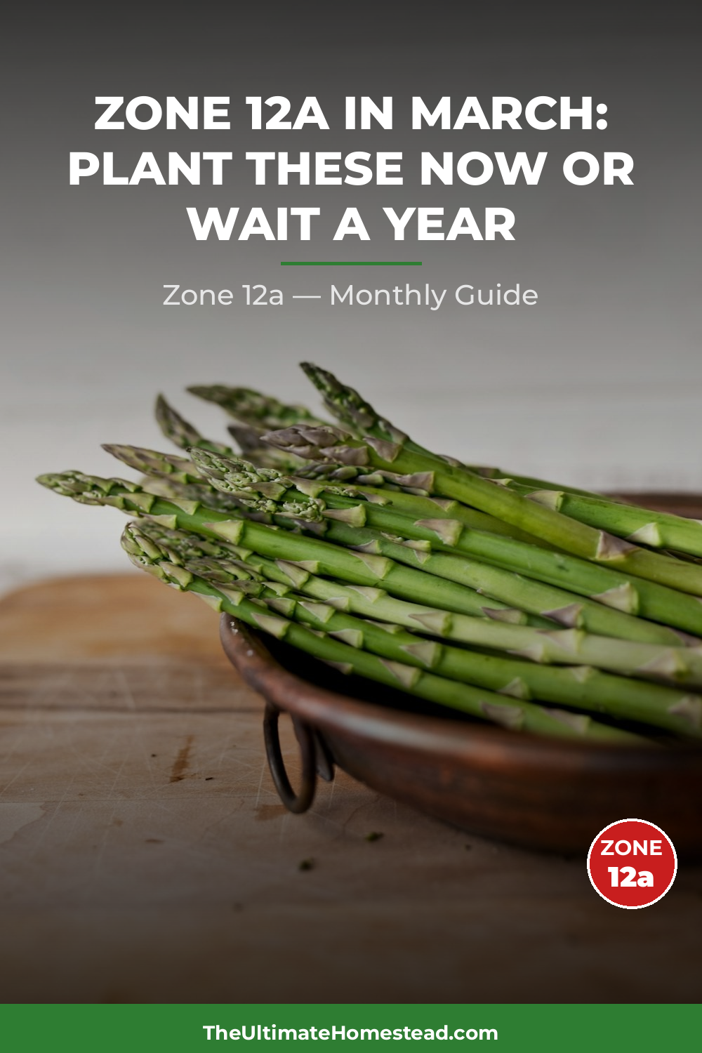 Zone 12a Planting Calendar