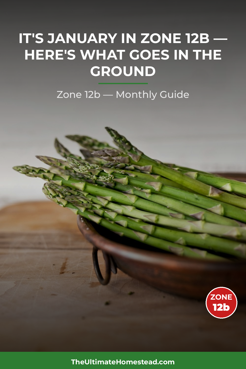 Zone 12b Planting Calendar