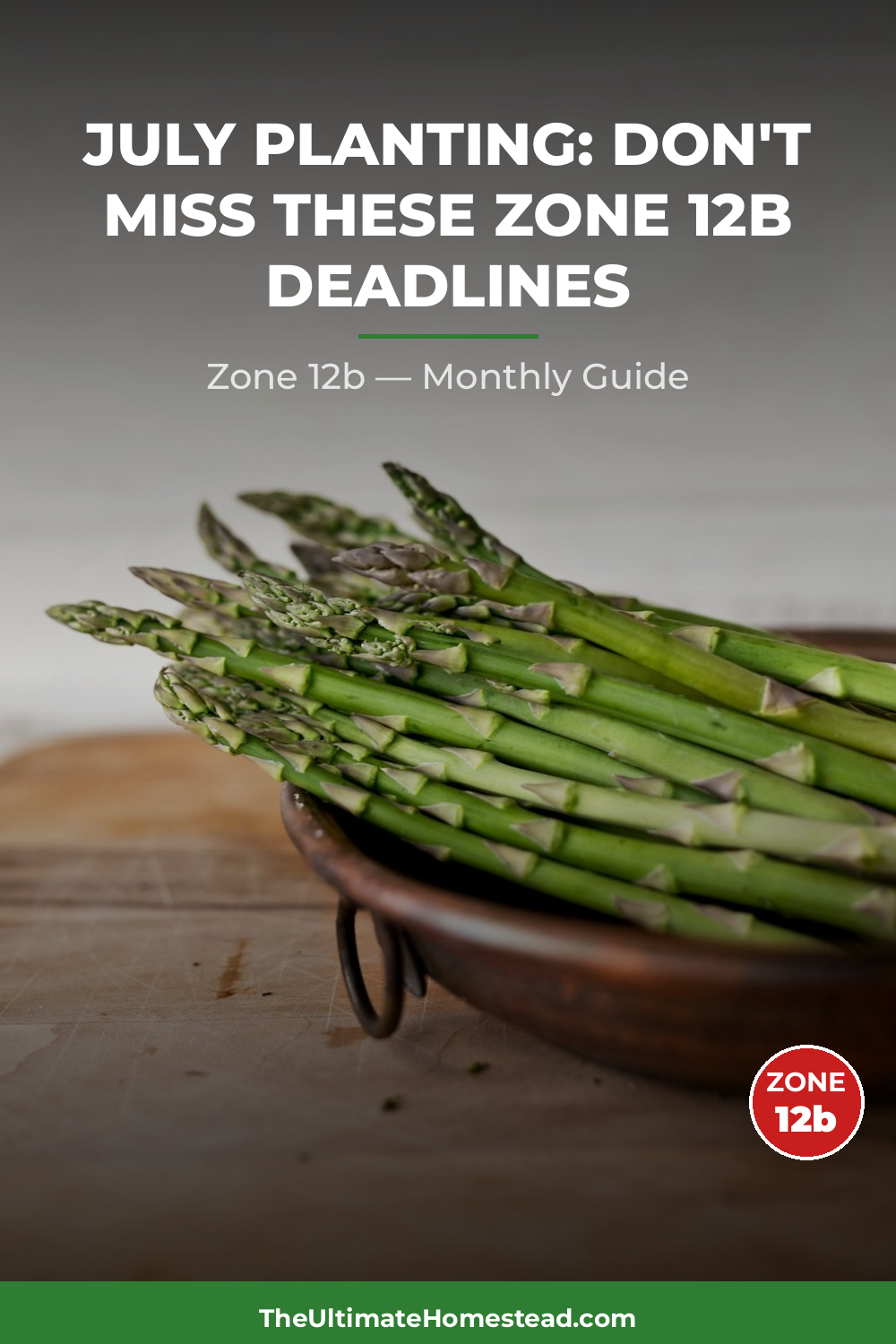 Zone 12b Planting Calendar