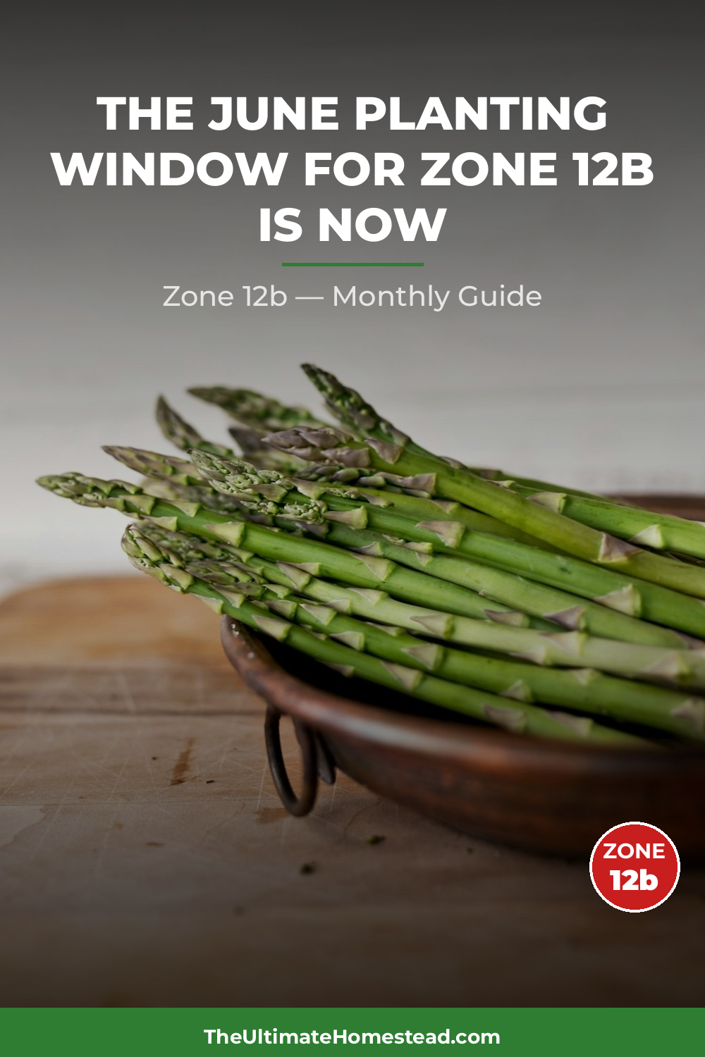 Zone 12b Planting Calendar