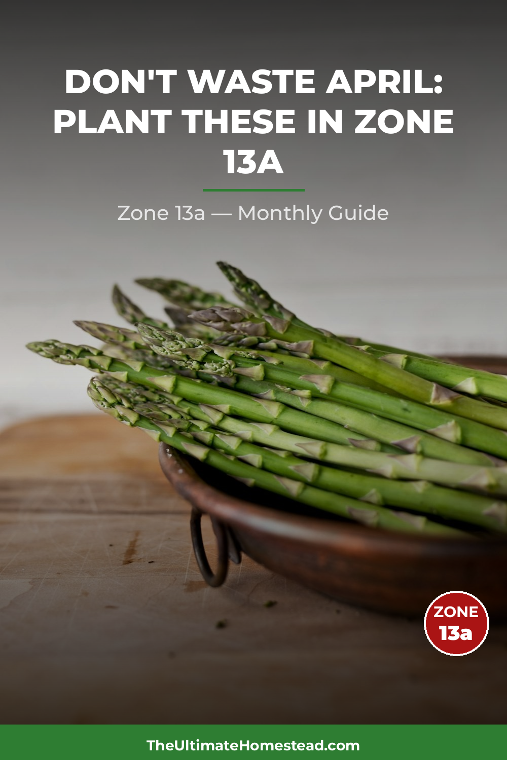 Zone 13a Planting Calendar