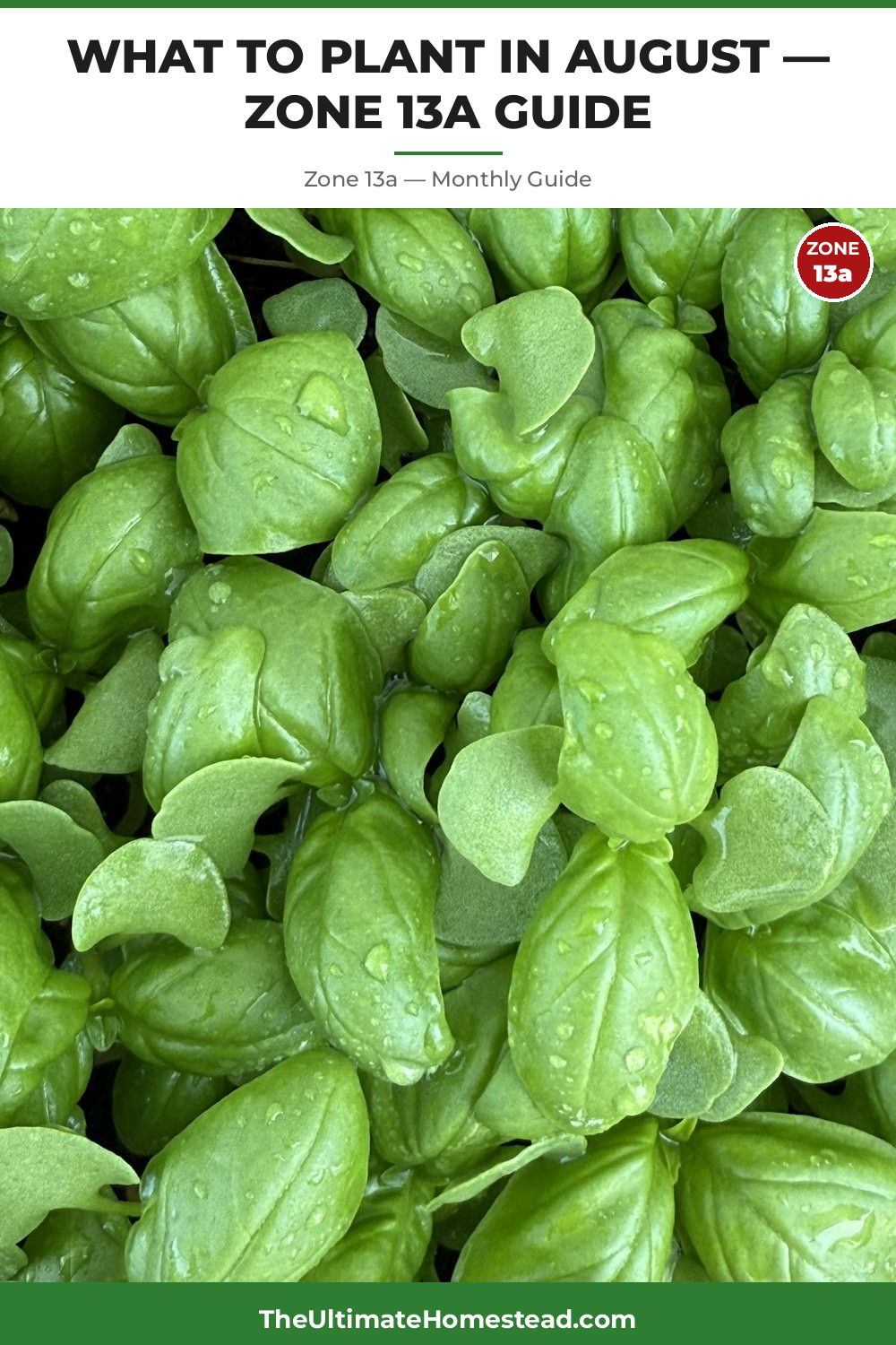 Zone 13a Planting Calendar