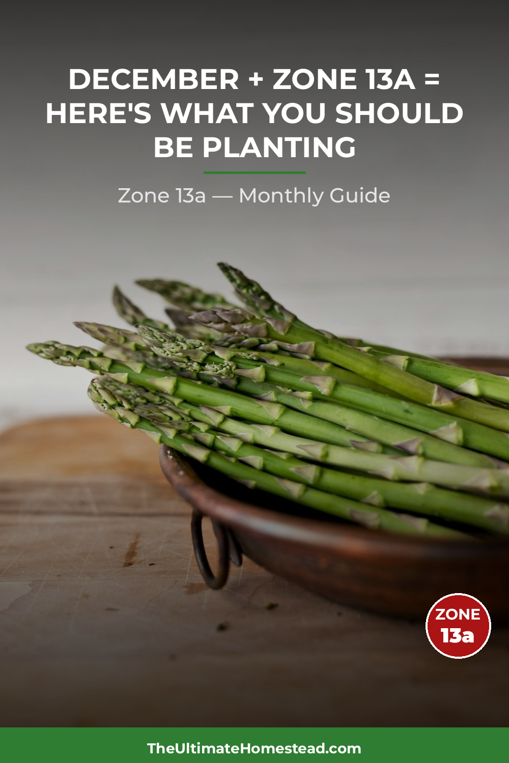 Zone 13a Planting Calendar