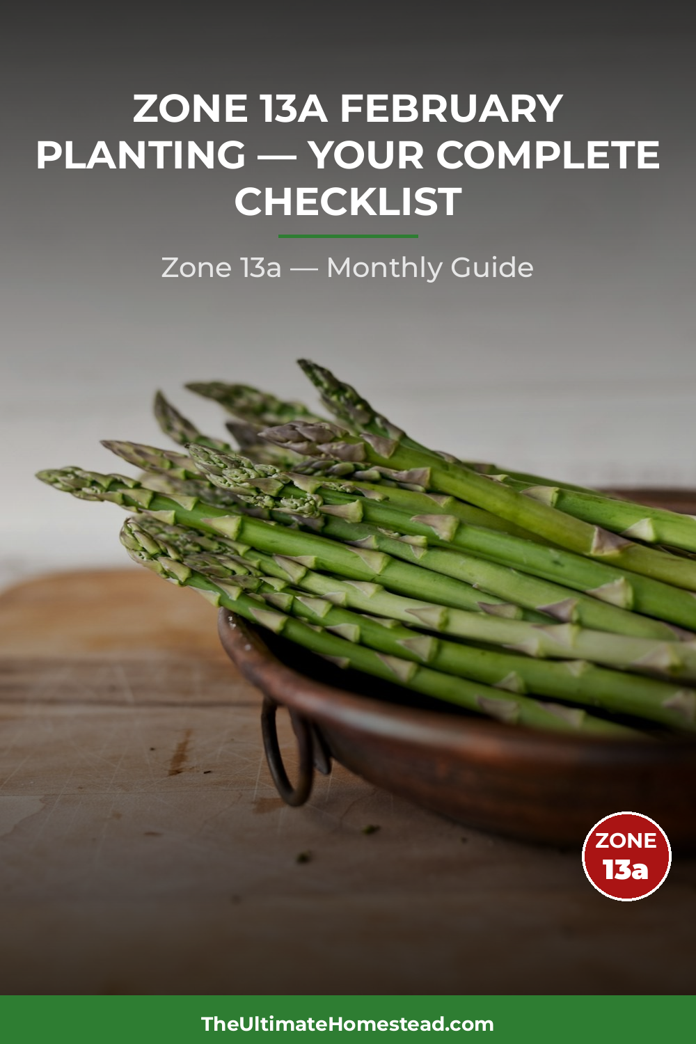 Zone 13a Planting Calendar