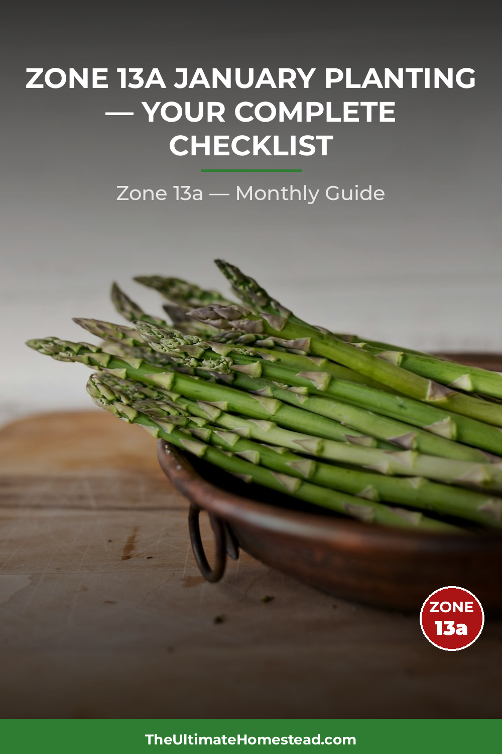 Zone 13a Planting Calendar