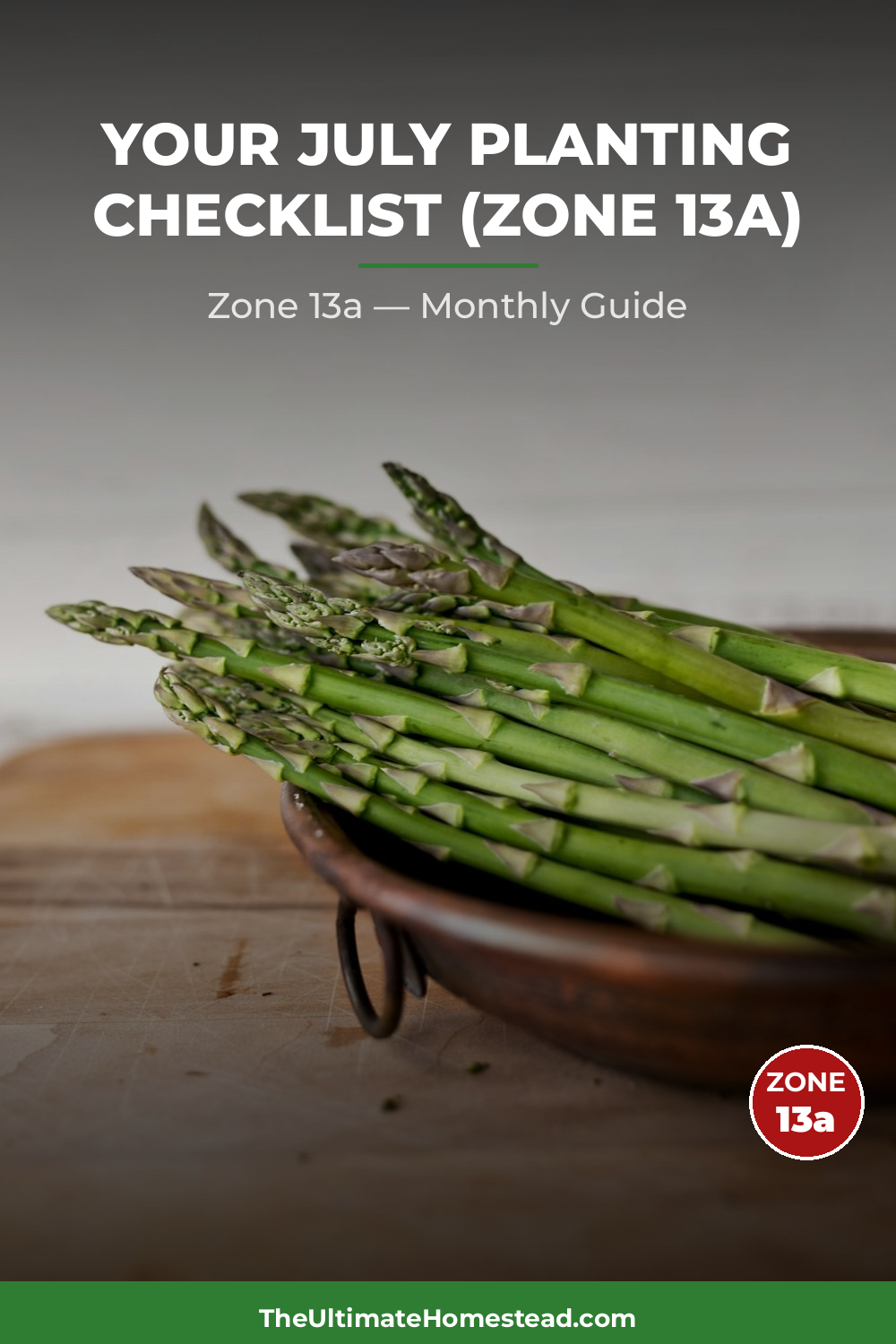 Zone 13a Planting Calendar