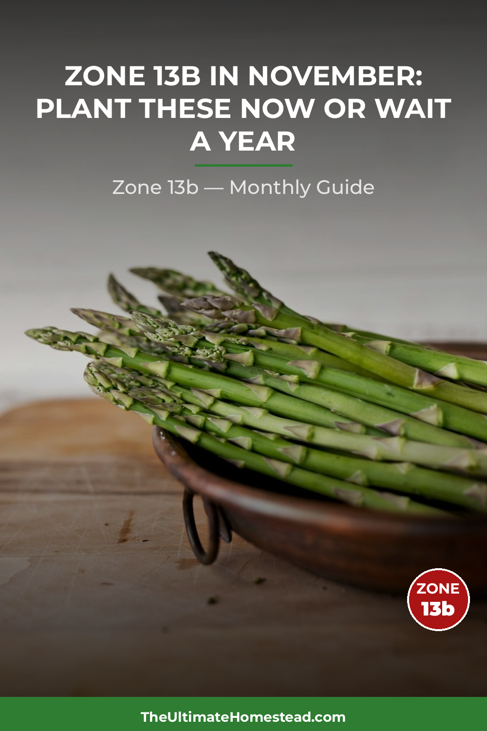 Zone 13b Planting Calendar