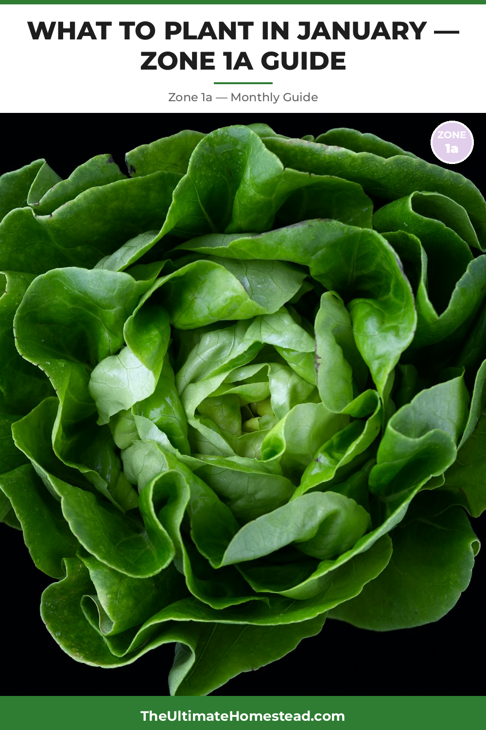 Zone 1a Planting Calendar