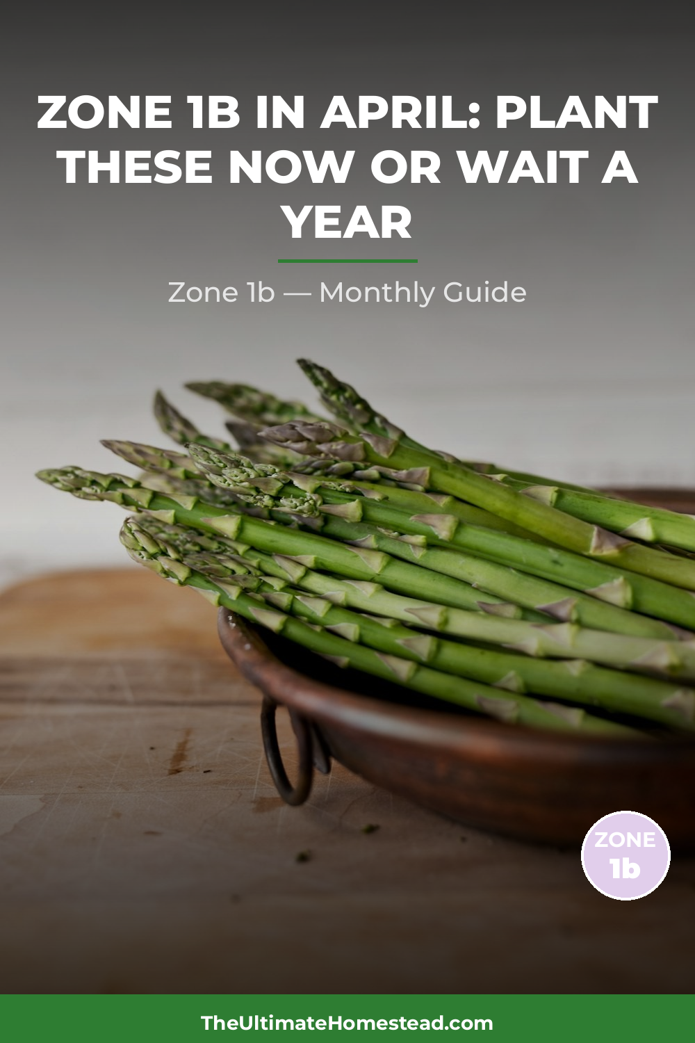 Zone 1b Planting Calendar