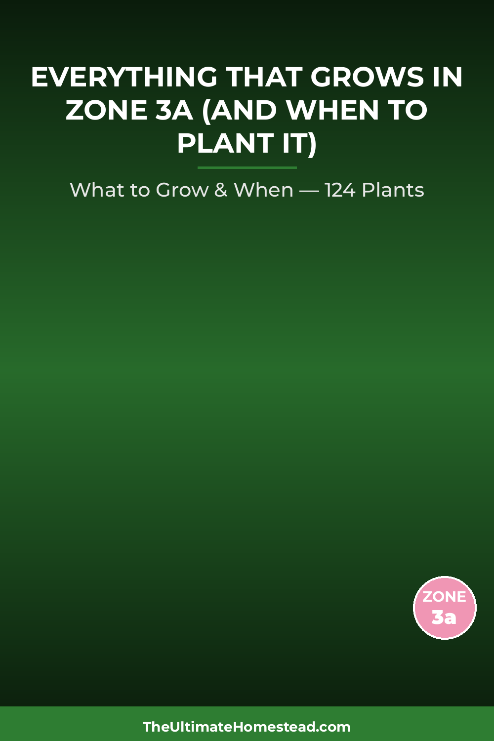 Zone 3a Planting Calendar