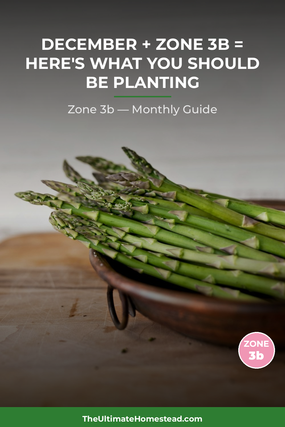 Zone 3b Planting Calendar