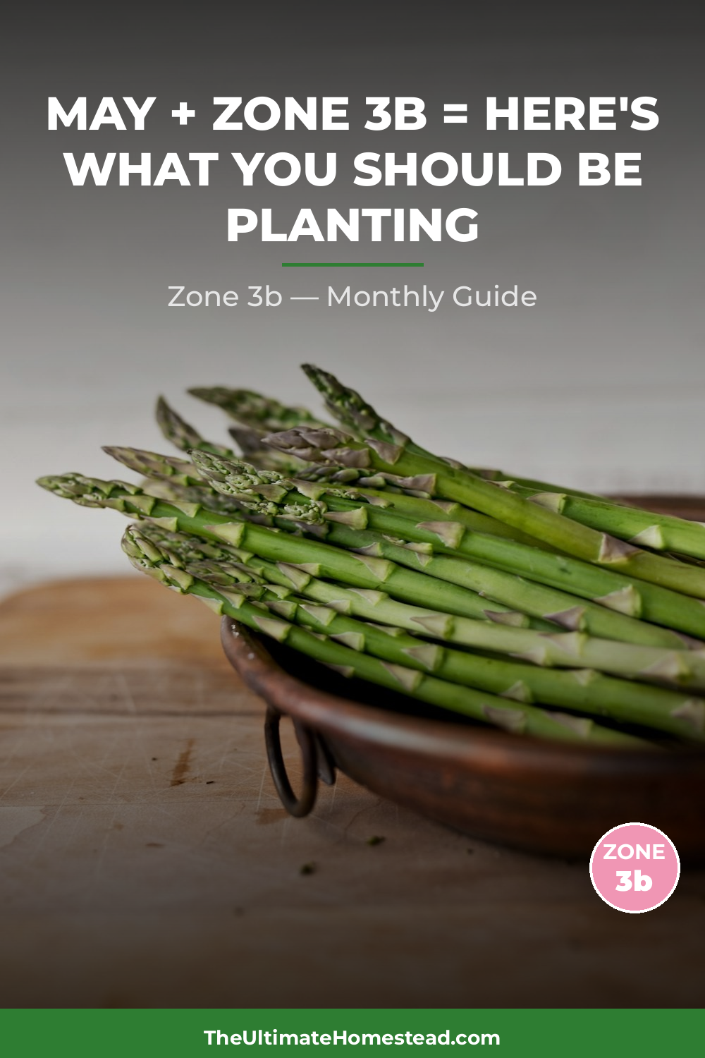 Zone 3b Planting Calendar
