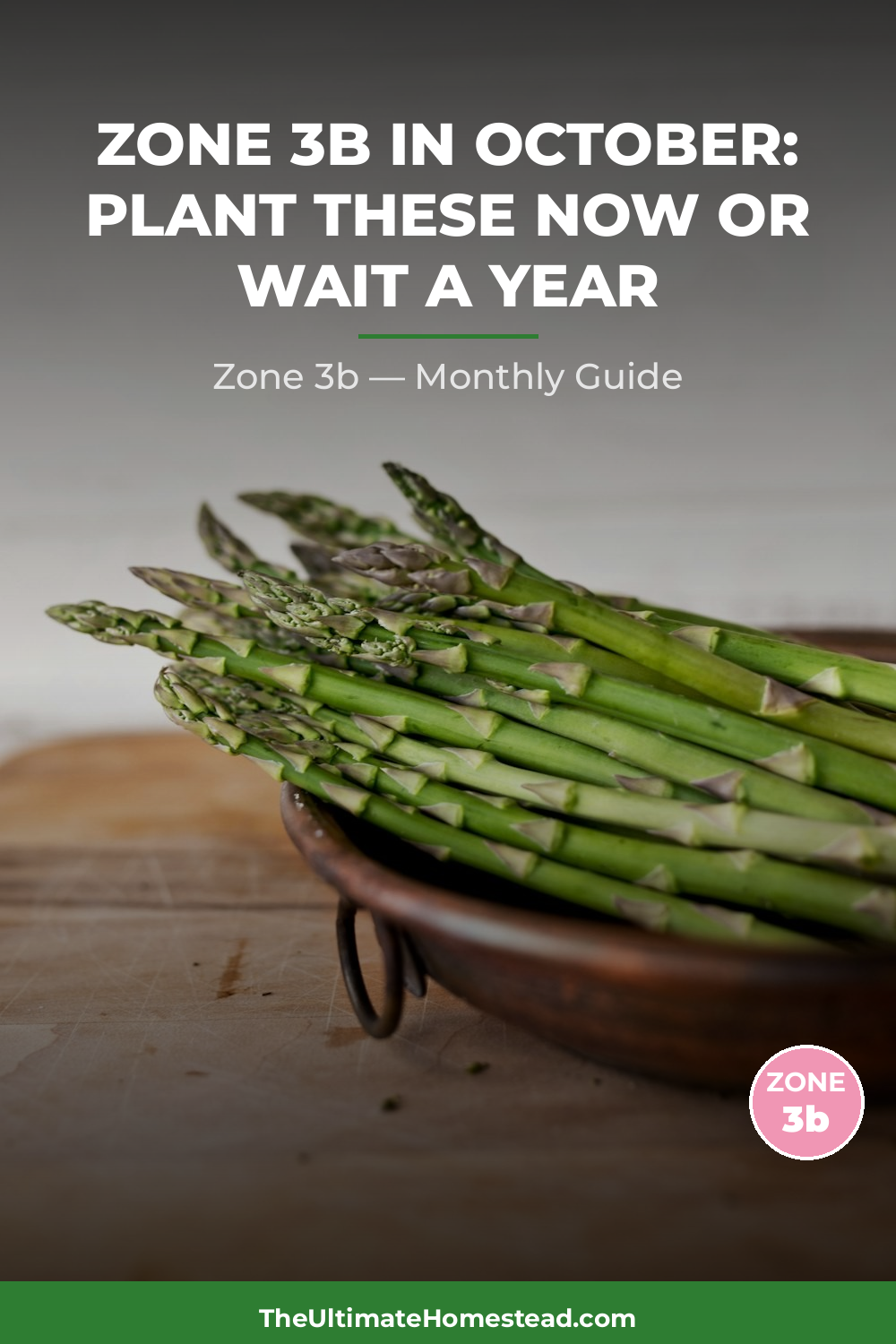 Zone 3b Planting Calendar