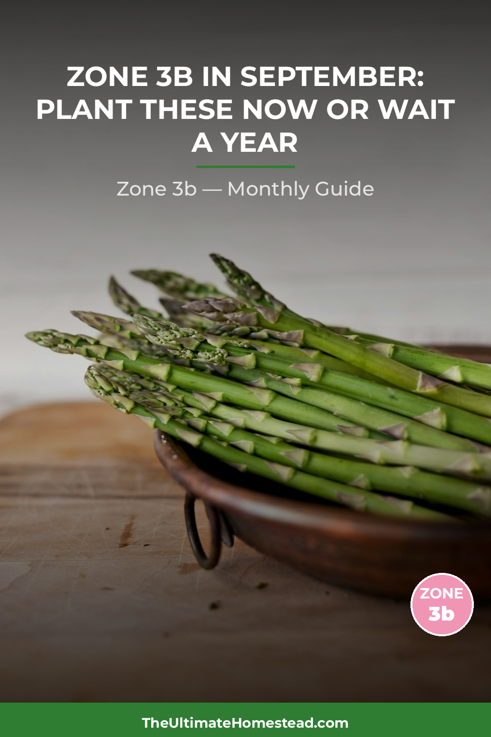 Zone 3b Planting Calendar