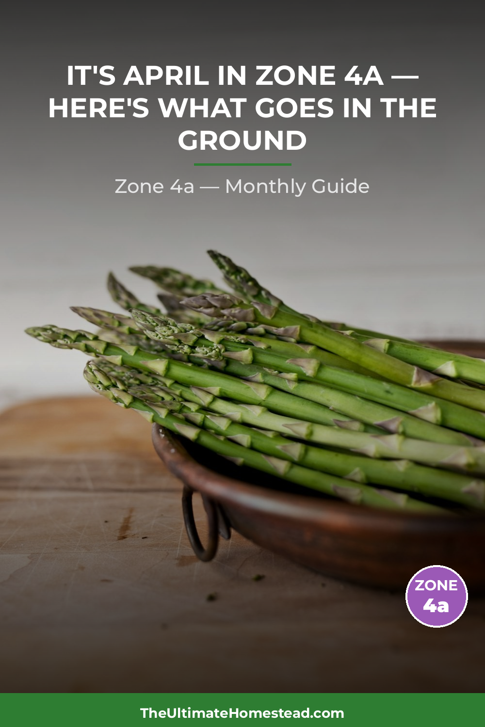 Zone 4a Planting Calendar