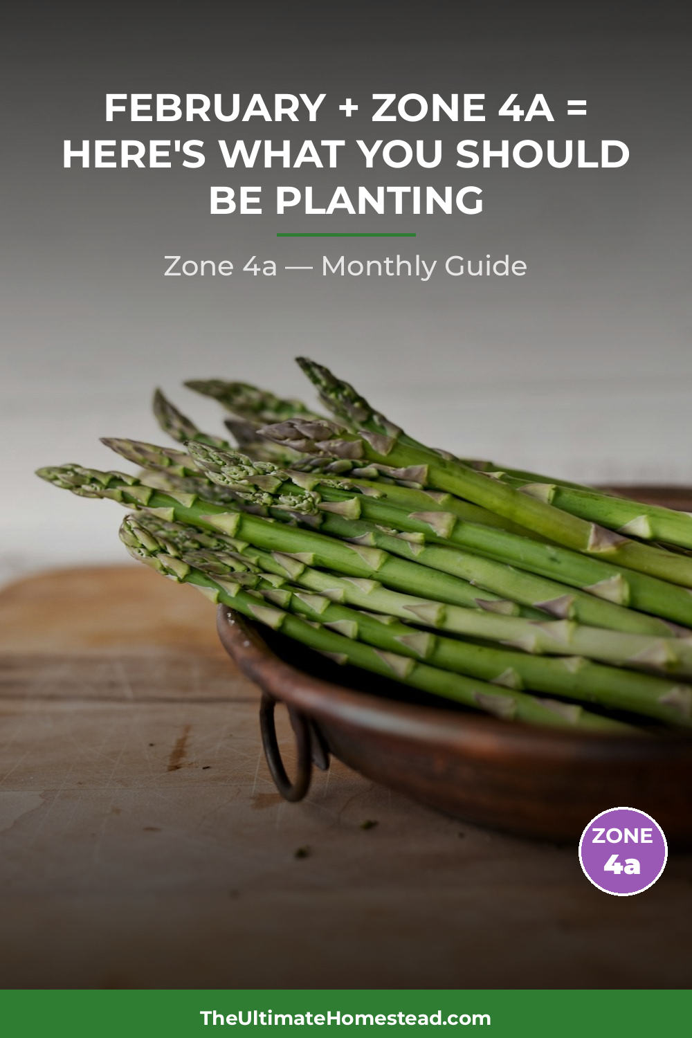 Zone 4a Planting Calendar
