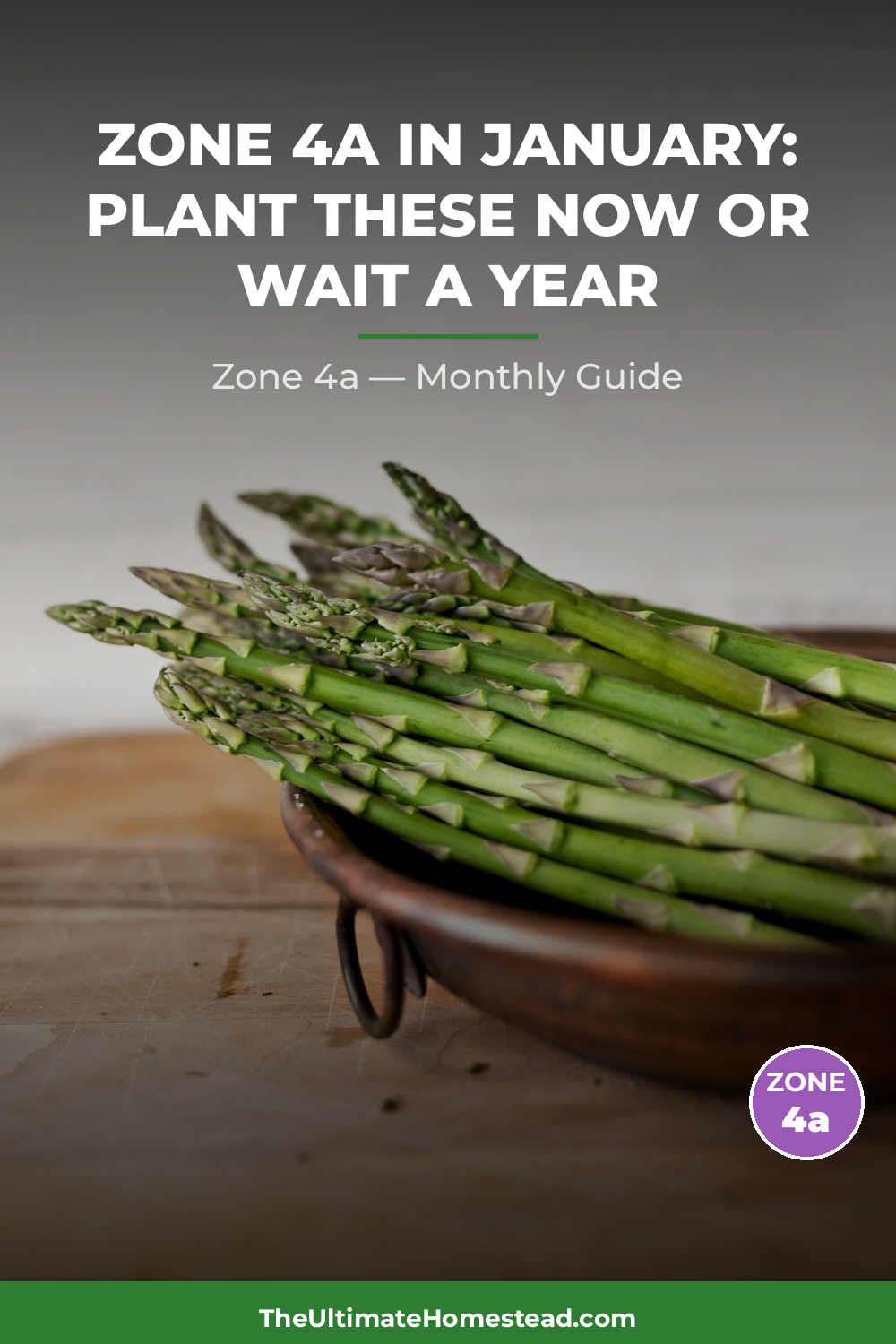 Zone 4a Planting Calendar