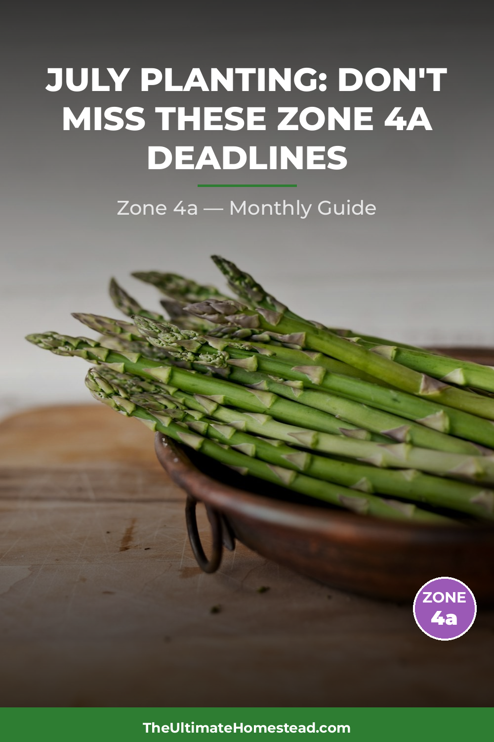 Zone 4a Planting Calendar
