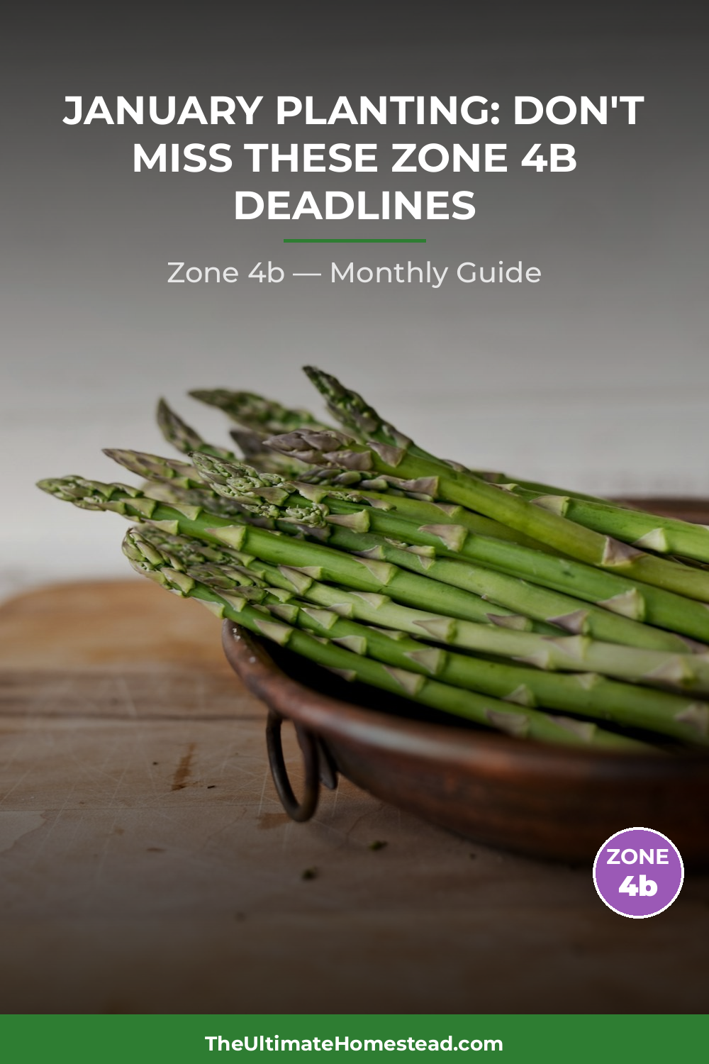 Zone 4b Planting Calendar