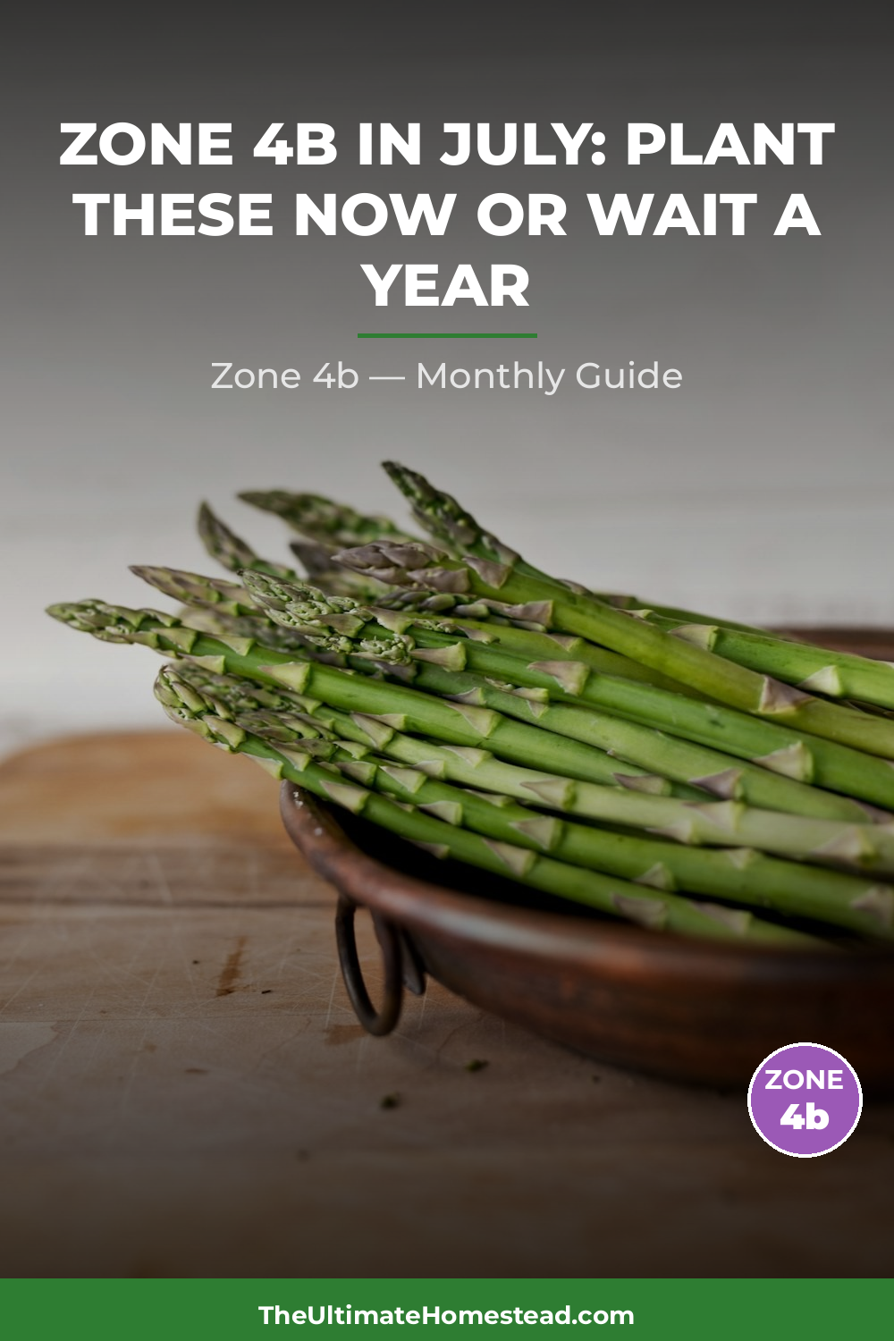 Zone 4b Planting Calendar