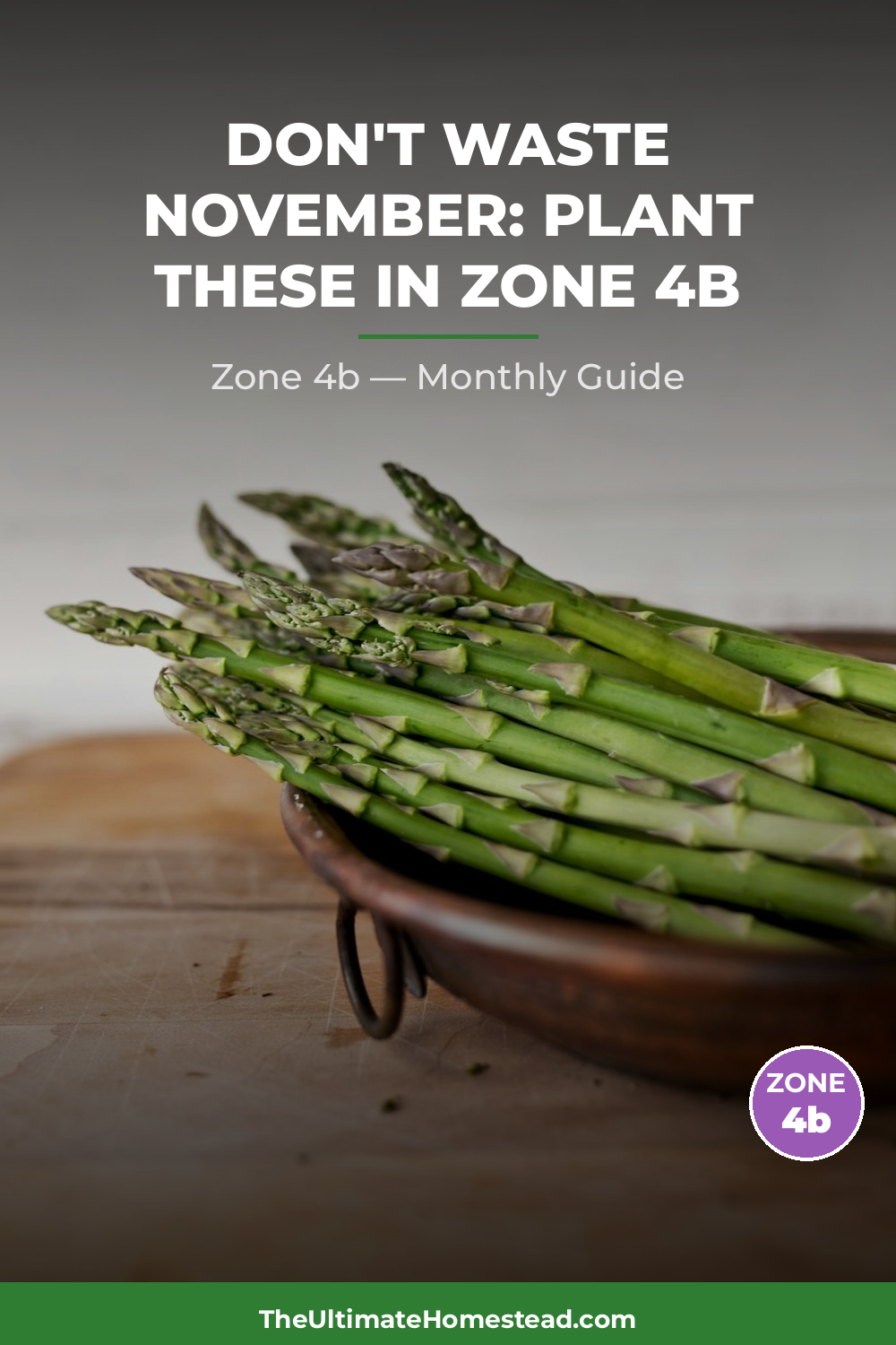 Zone 4b Planting Calendar