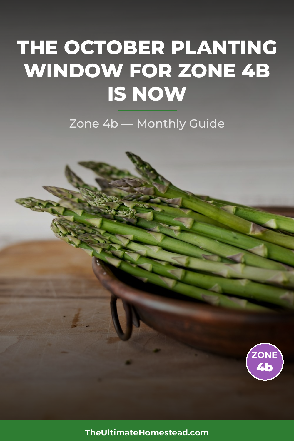 Zone 4b Planting Calendar