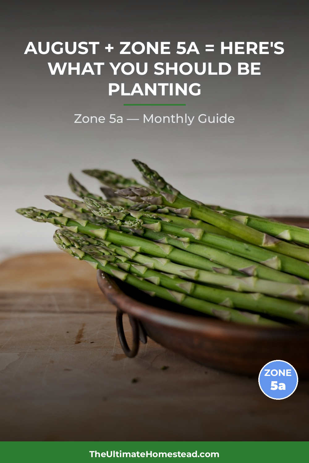 Zone 5a Planting Calendar