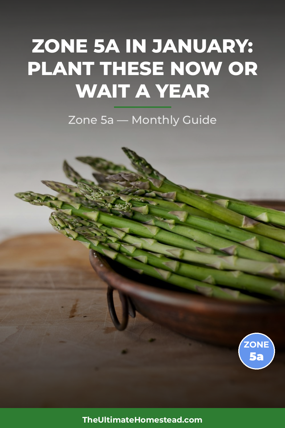 Zone 5a Planting Calendar