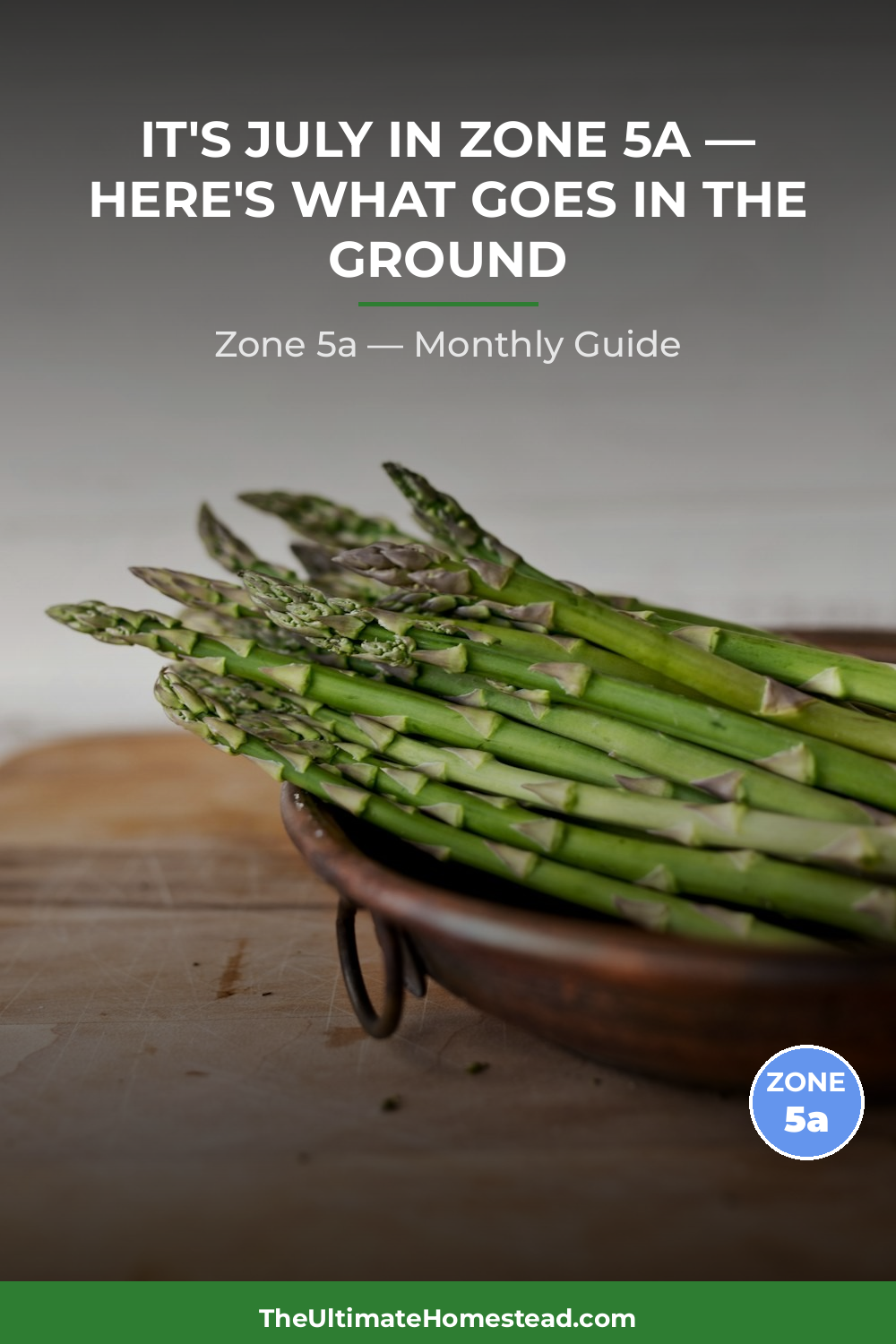 Zone 5a Planting Calendar