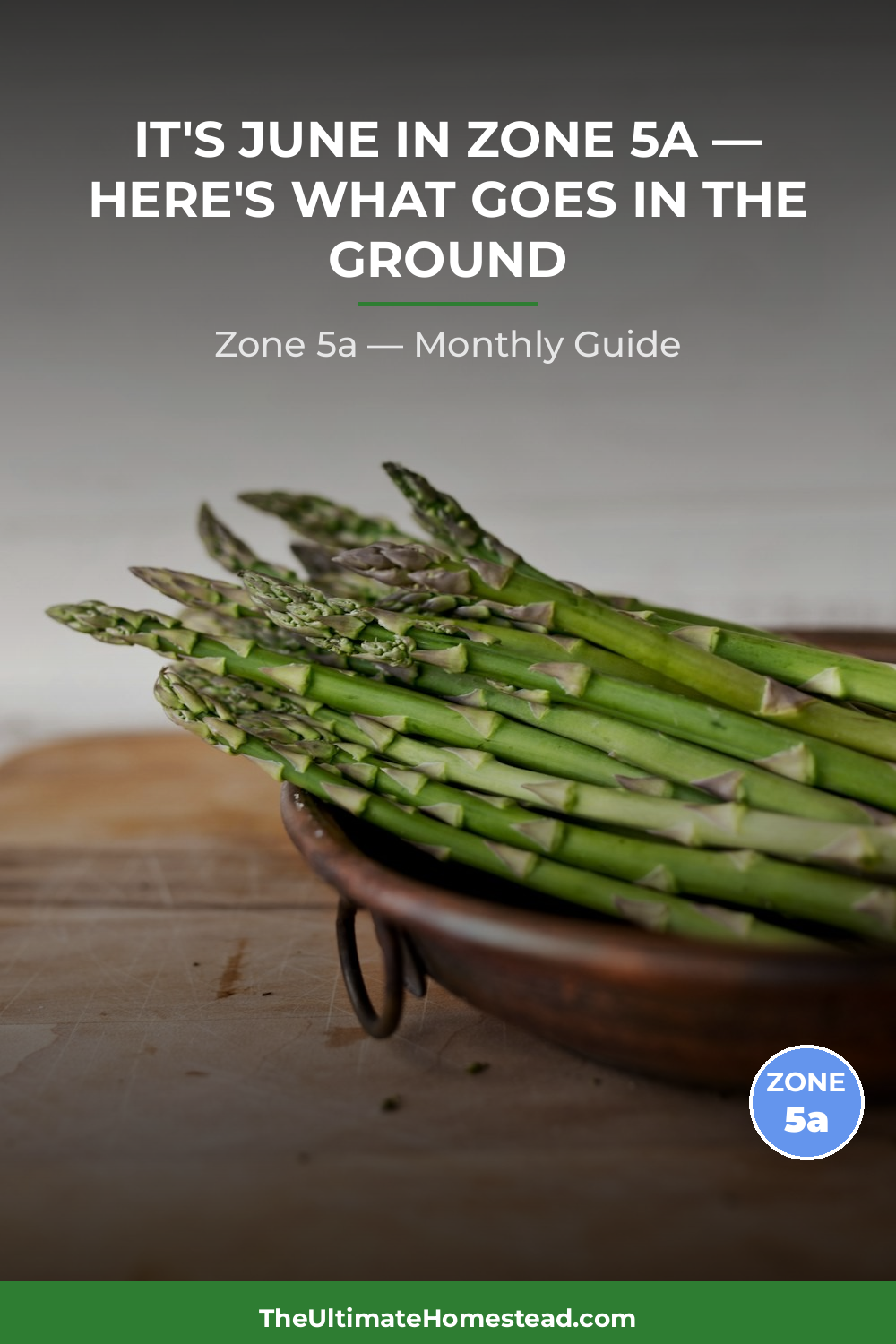 Zone 5a Planting Calendar
