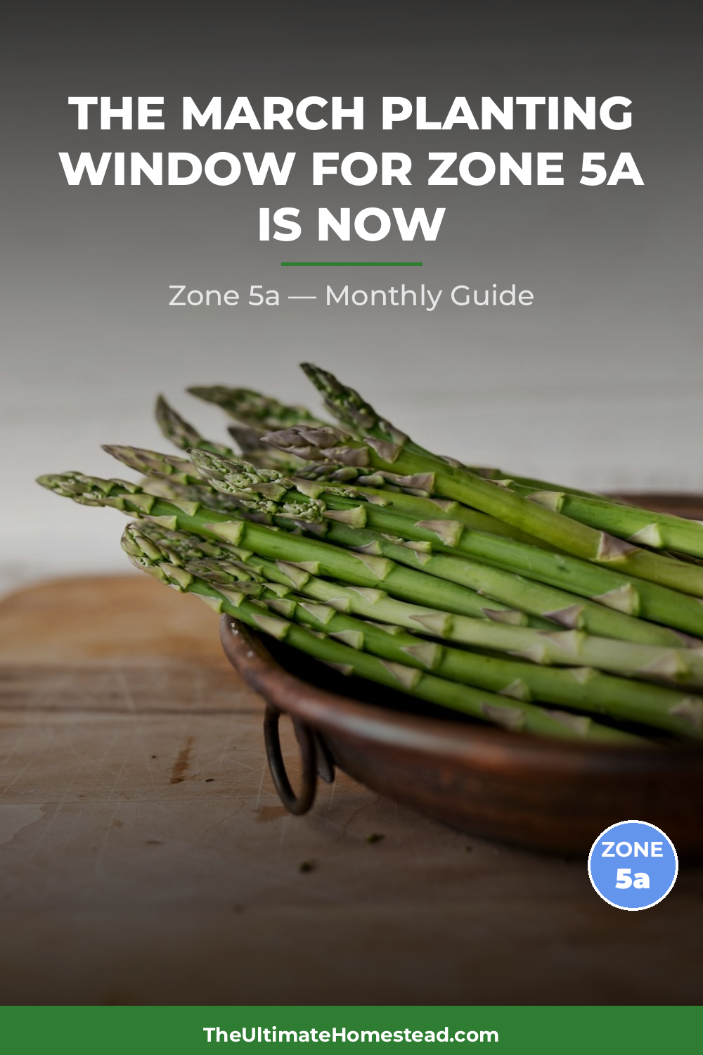 Zone 5a Planting Calendar