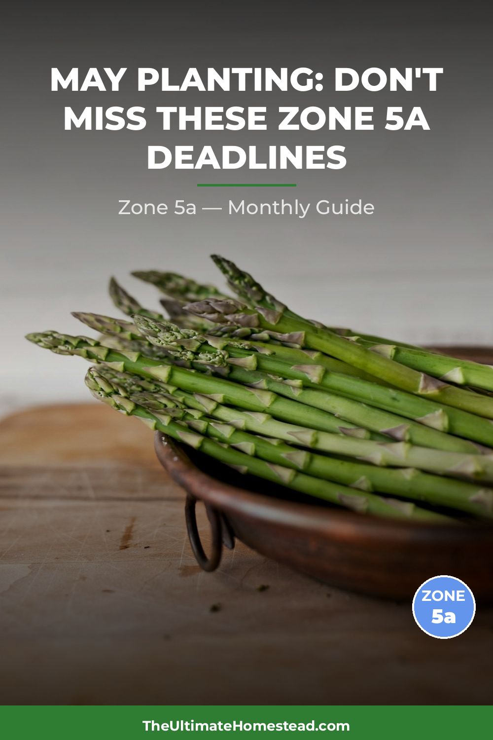 Zone 5a Planting Calendar