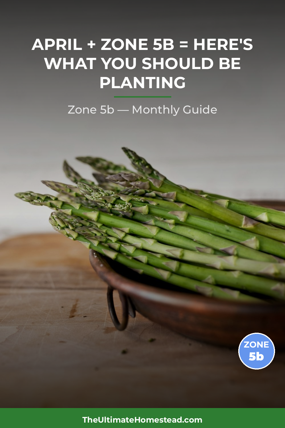 Zone 5b Planting Calendar