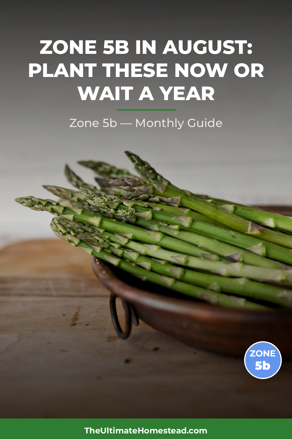 Zone 5b Planting Calendar
