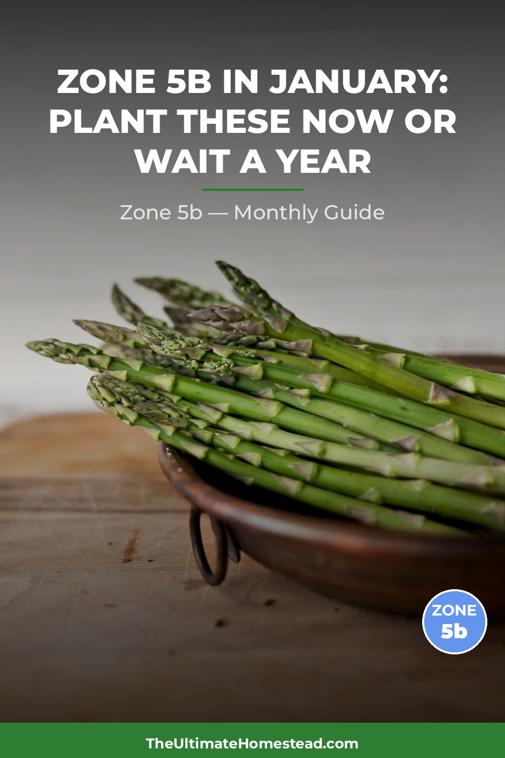 Zone 5b Planting Calendar