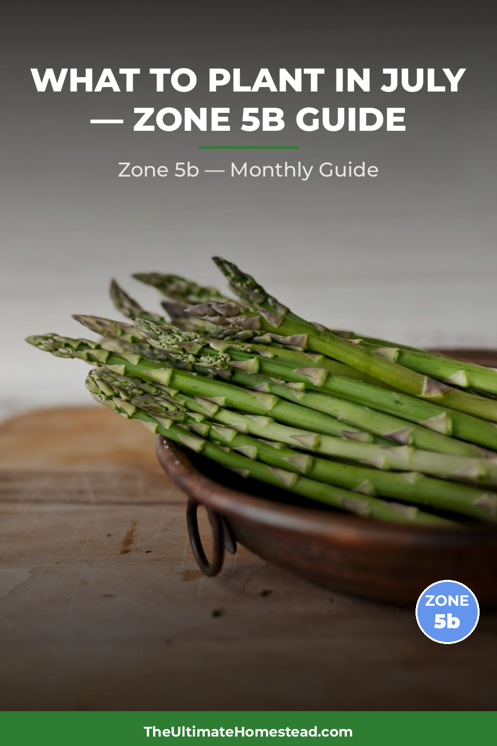 Zone 5b Planting Calendar
