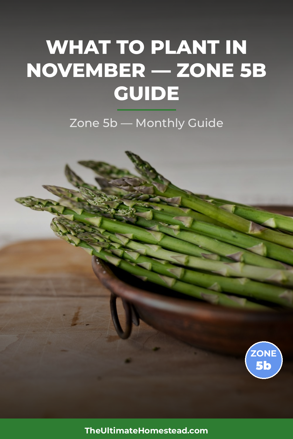 Zone 5b Planting Calendar