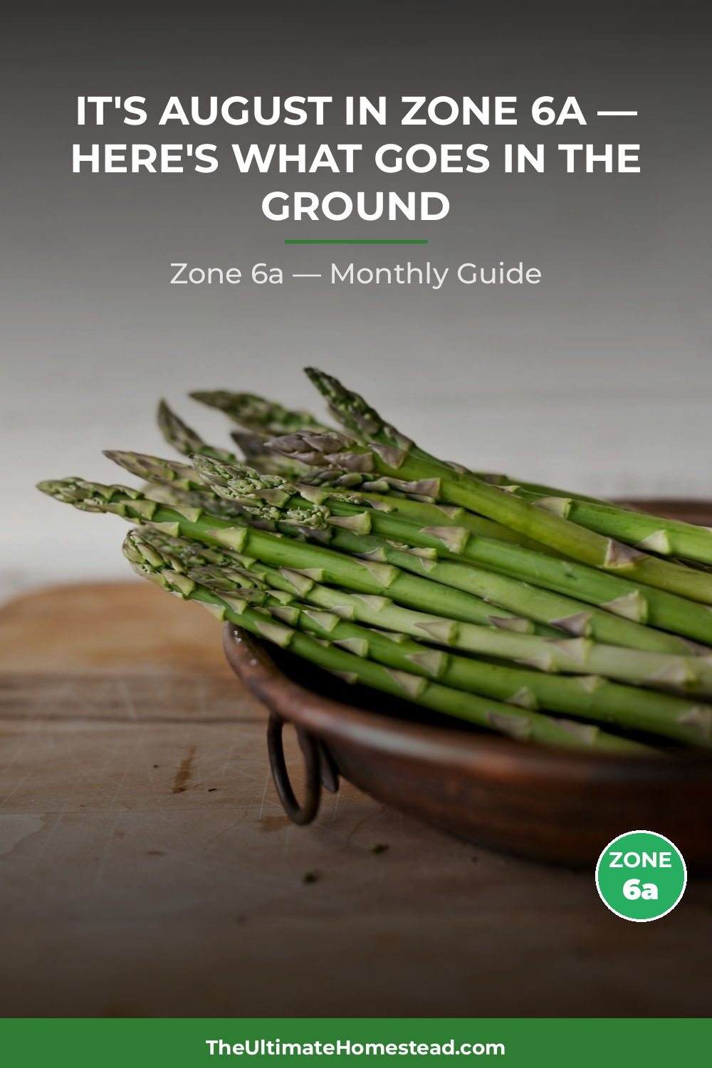 Zone 6a Planting Calendar