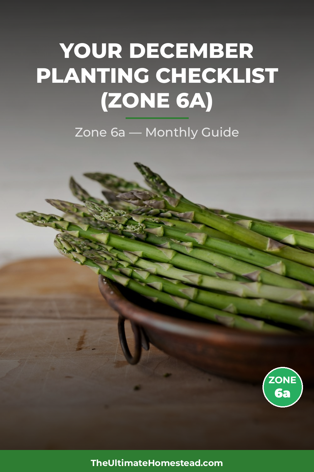 Zone 6a Planting Calendar