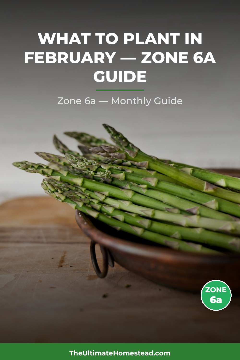 Zone 6a Planting Calendar
