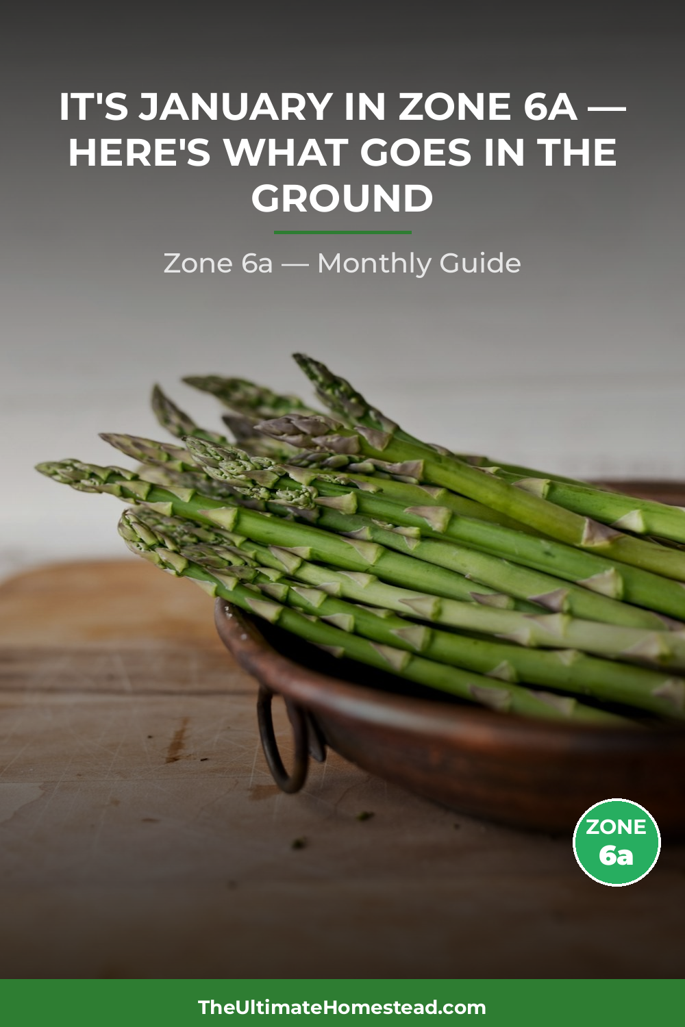 Zone 6a Planting Calendar