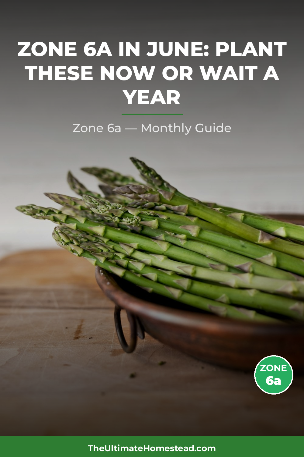 Zone 6a Planting Calendar