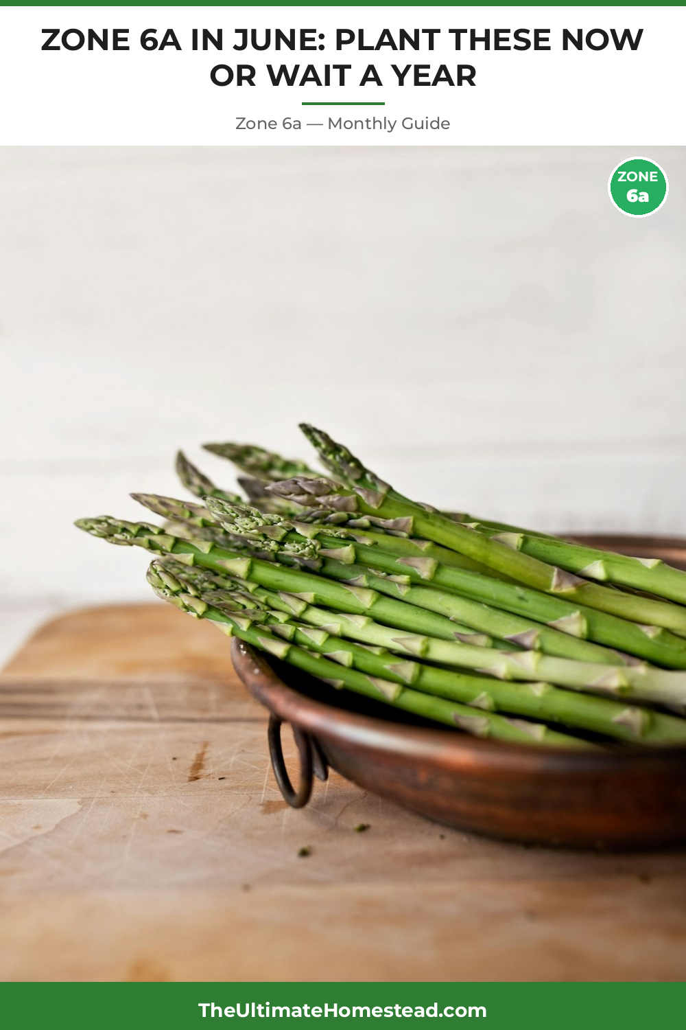 Zone 6a Planting Calendar