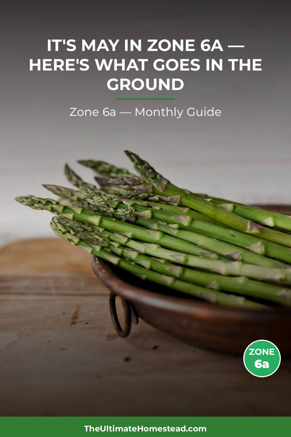 Zone 6a Planting Calendar