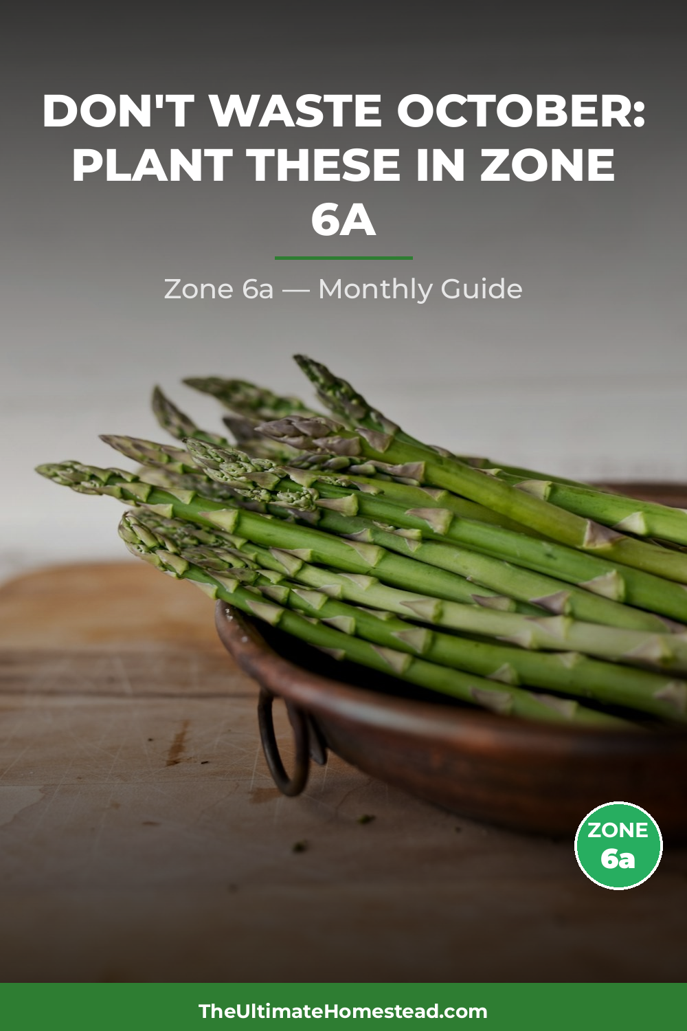 Zone 6a Planting Calendar